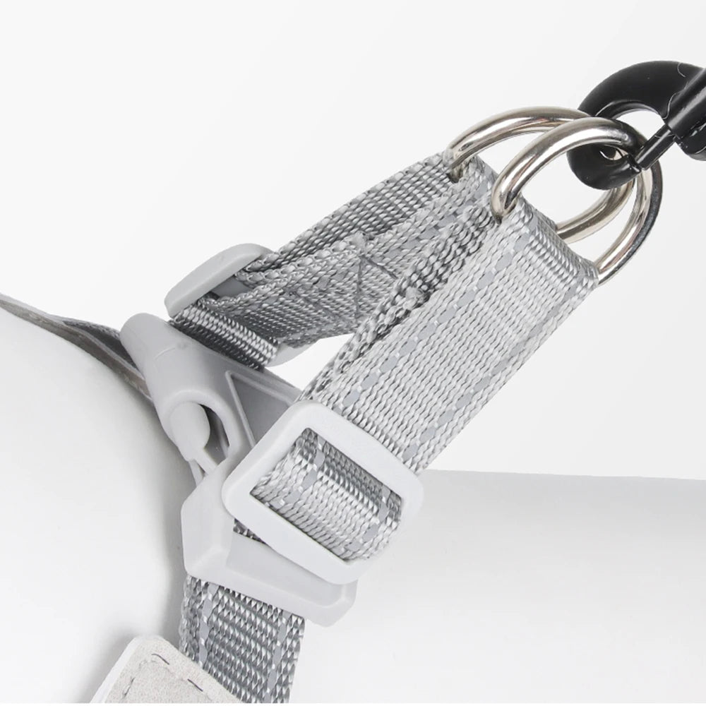 Harnais pour chien réfléchissant et réglable