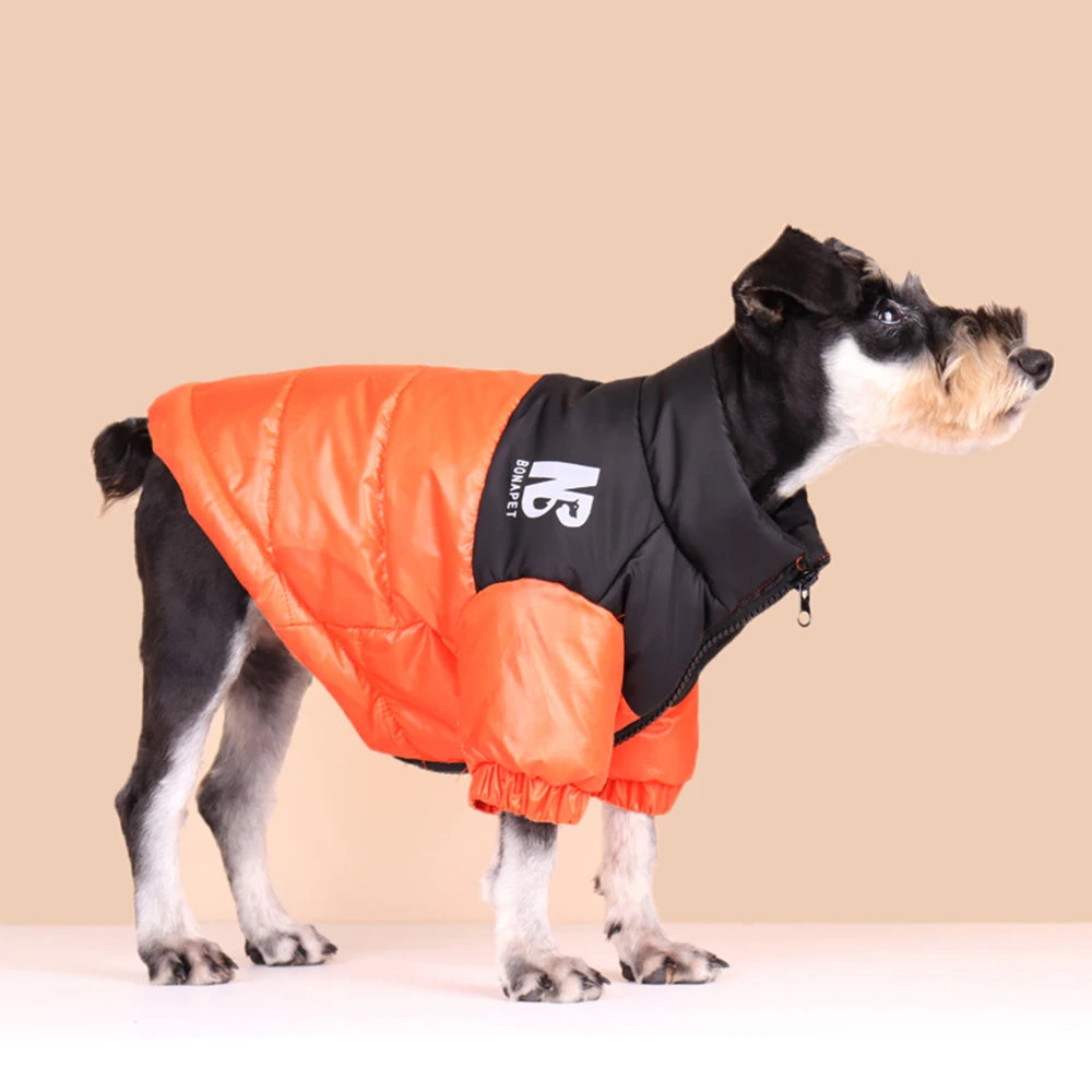 Vêtements chauds pour chiens