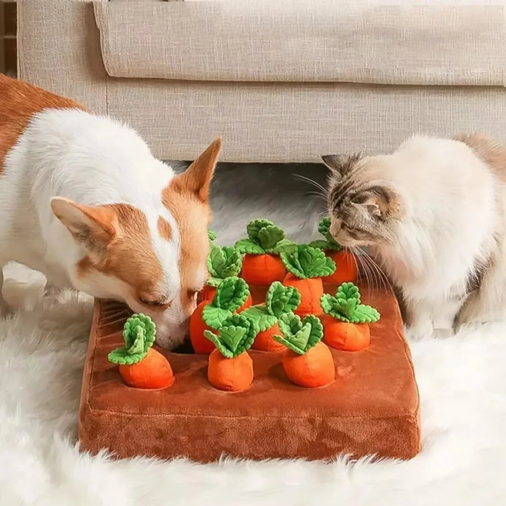 Carrot   Dogs Chew Toys