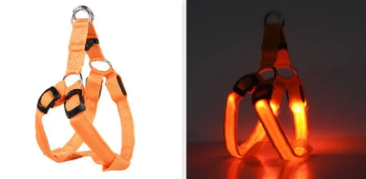 Harnais de poitrine pour chien