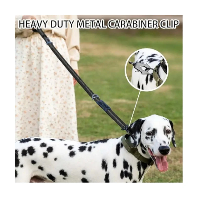 Shock Absorbing Pet Leashes