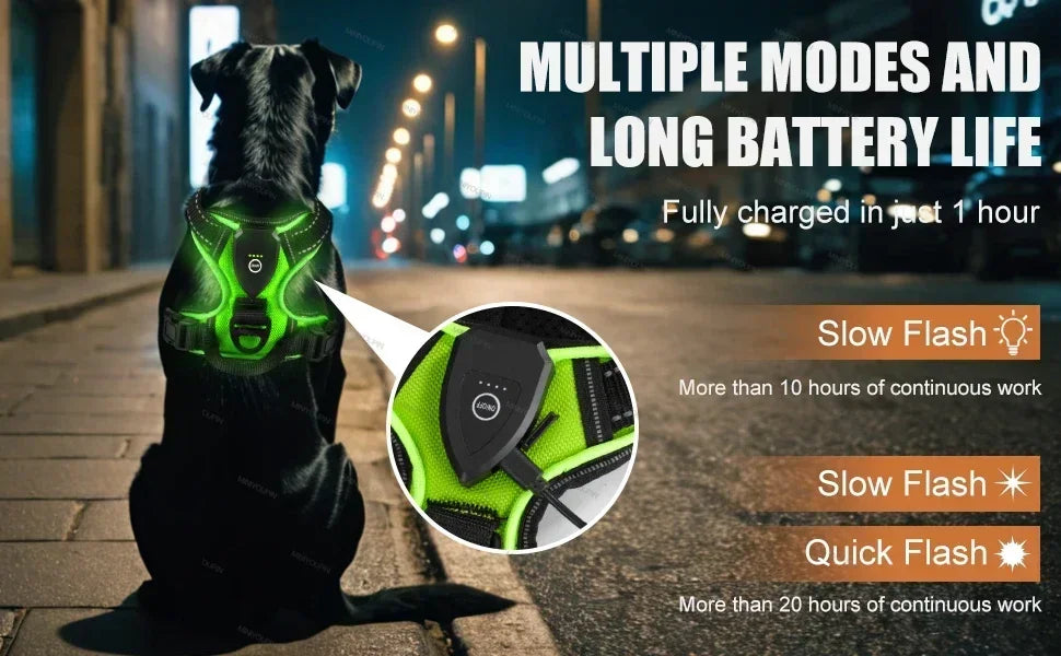 Harnais lumineux LED pour chiens