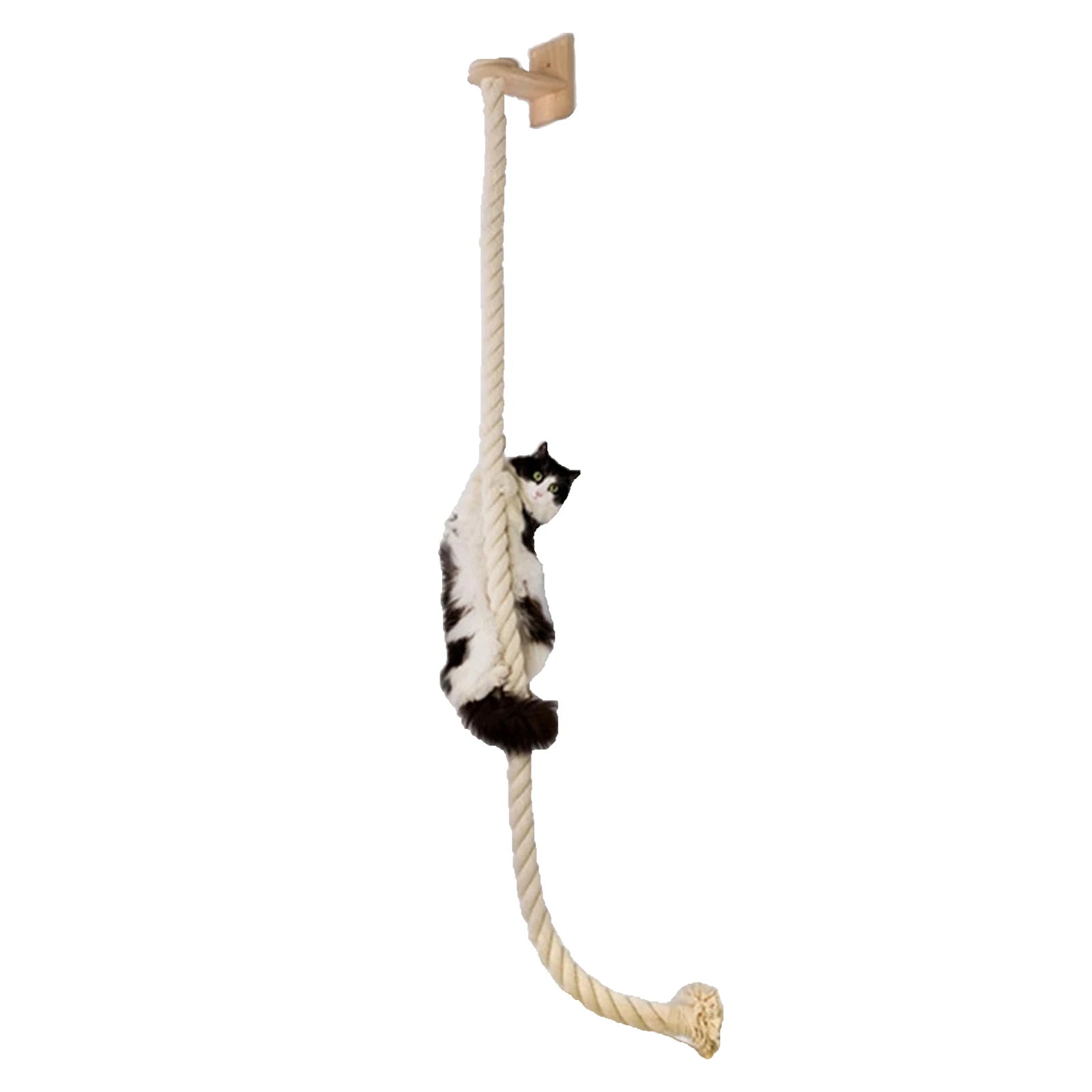 Ensemble d'escalade murale pour chat