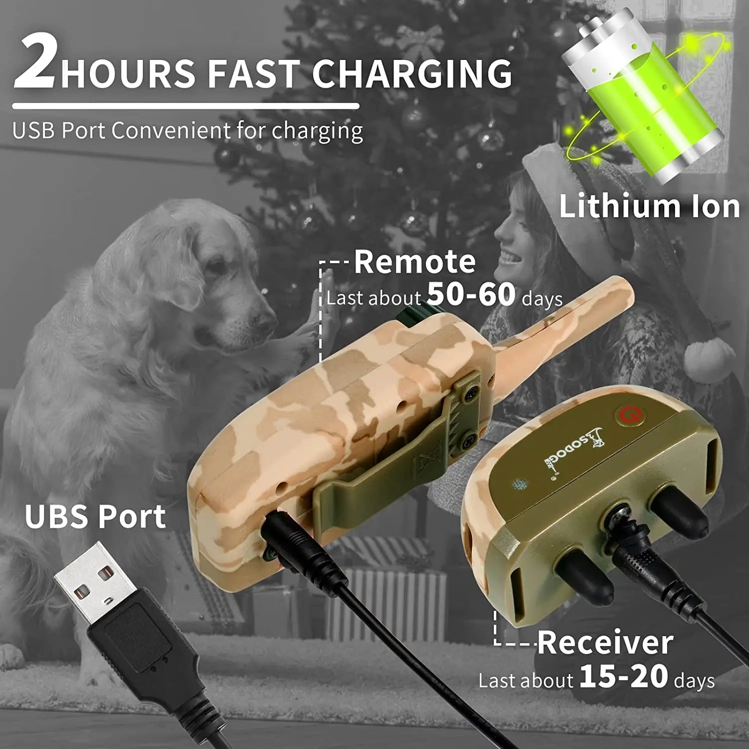 Collier de dressage électrique pour chien