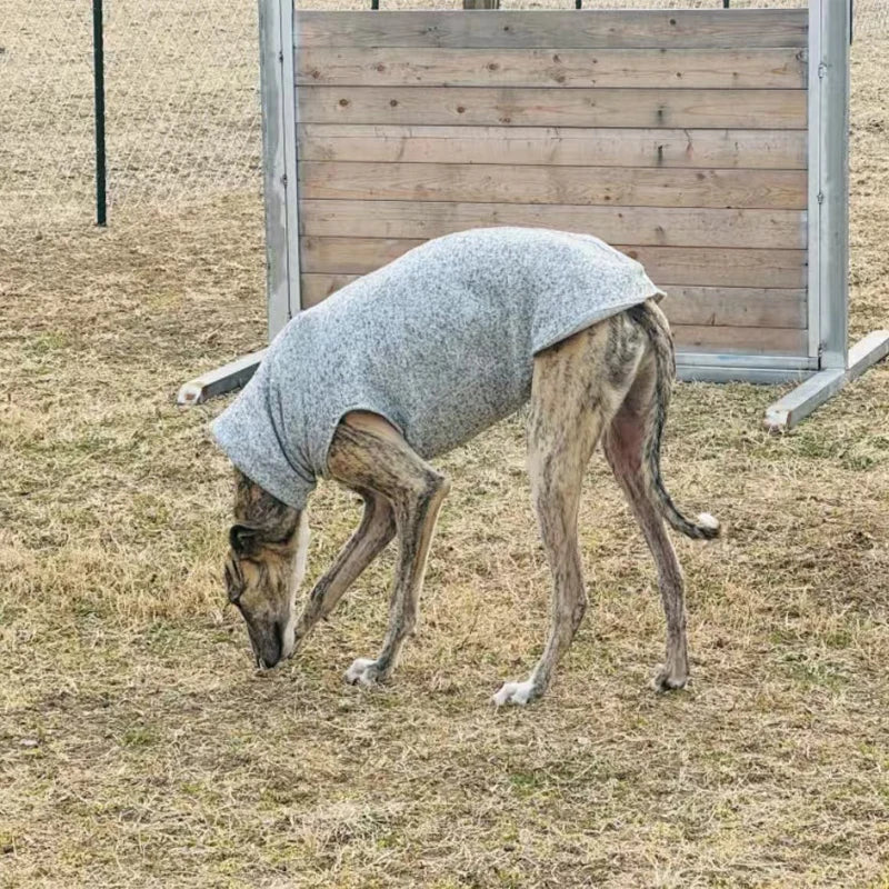 Sweat-shirt sans manches en polaire