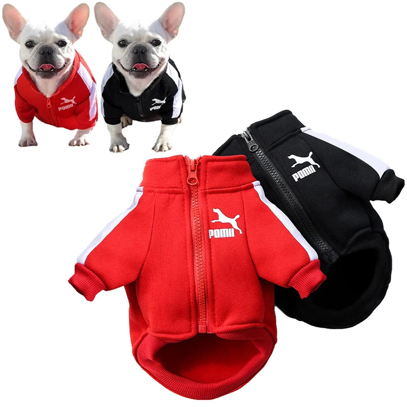 Veste d'hiver pour chien de baseball