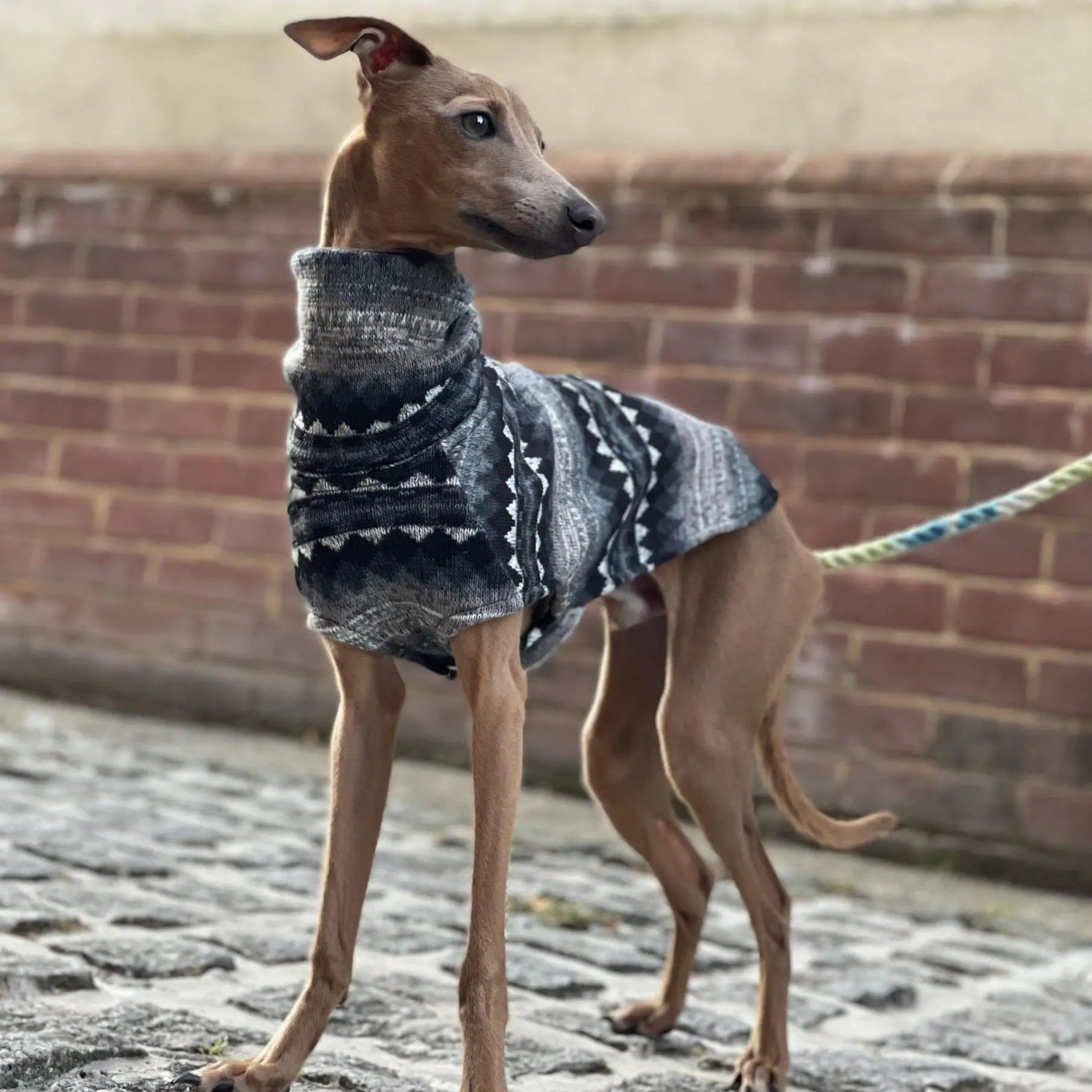 Gilet Whippet à col roulé