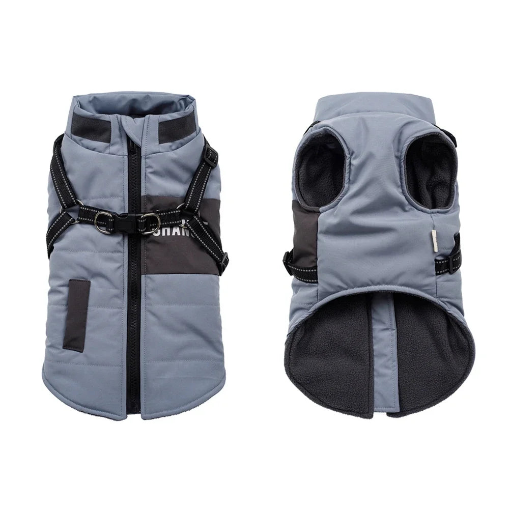 Veste pour chien