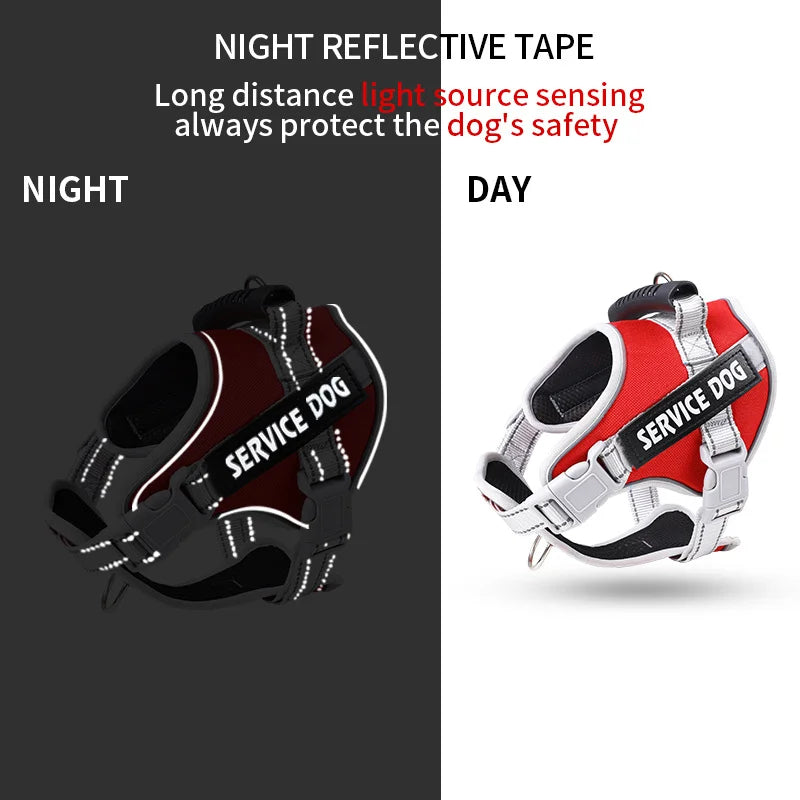 Harnais chien personnalisé