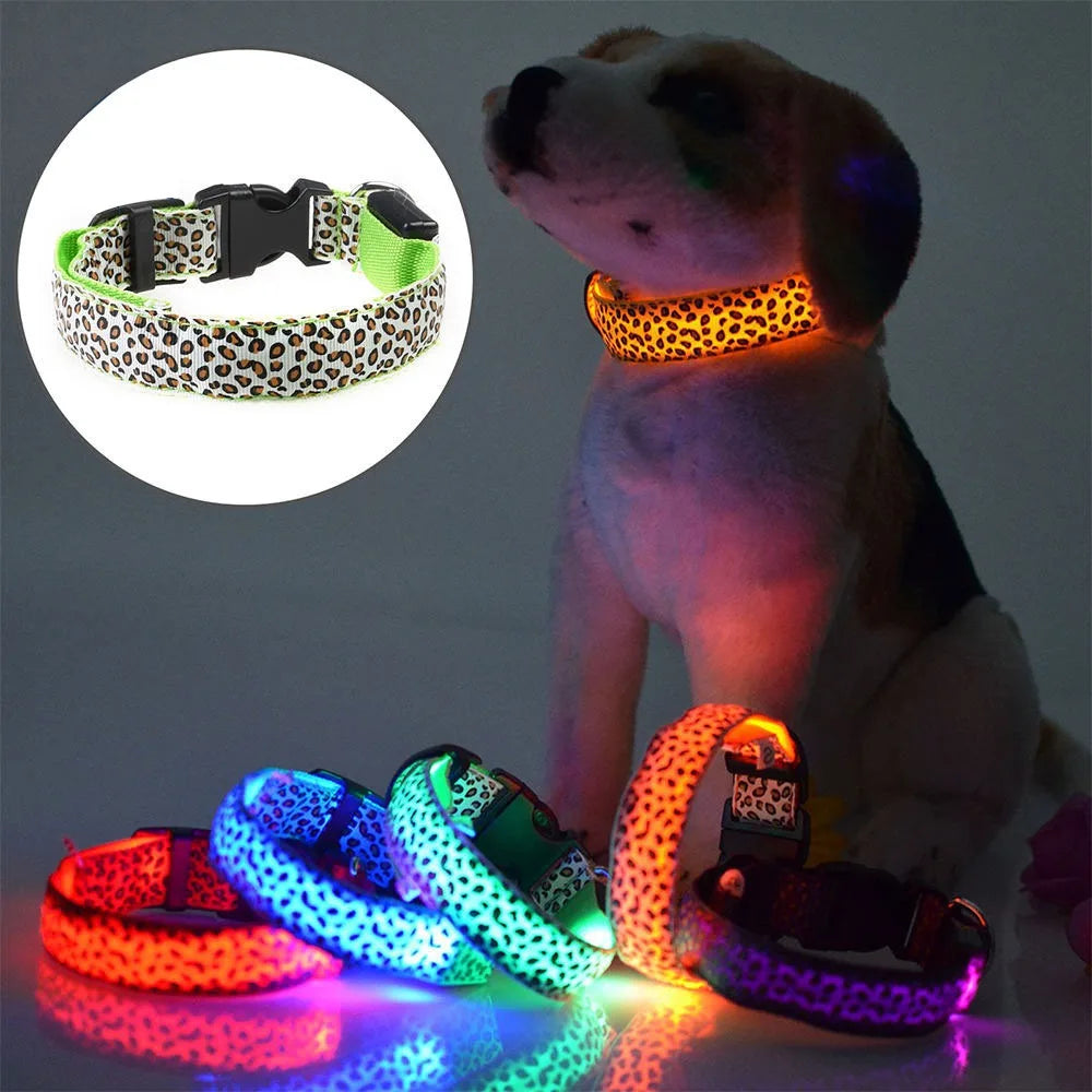 Collier anti-perte pour chien en nylon