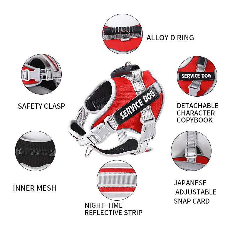 Harnais chien personnalisé