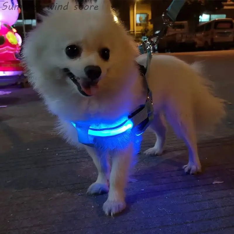 Harnais de poitrine pour chien