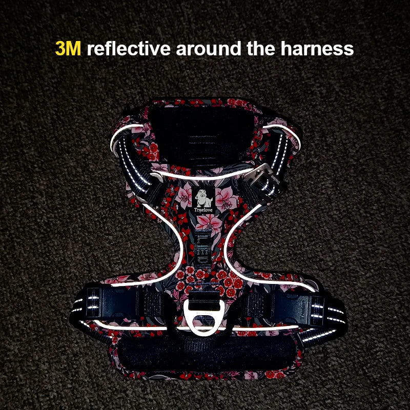 Harnais pour animaux de compagnie résistants