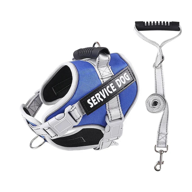 Harnais chien personnalisé