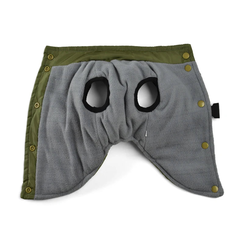 Veste coupe-vent pour chien