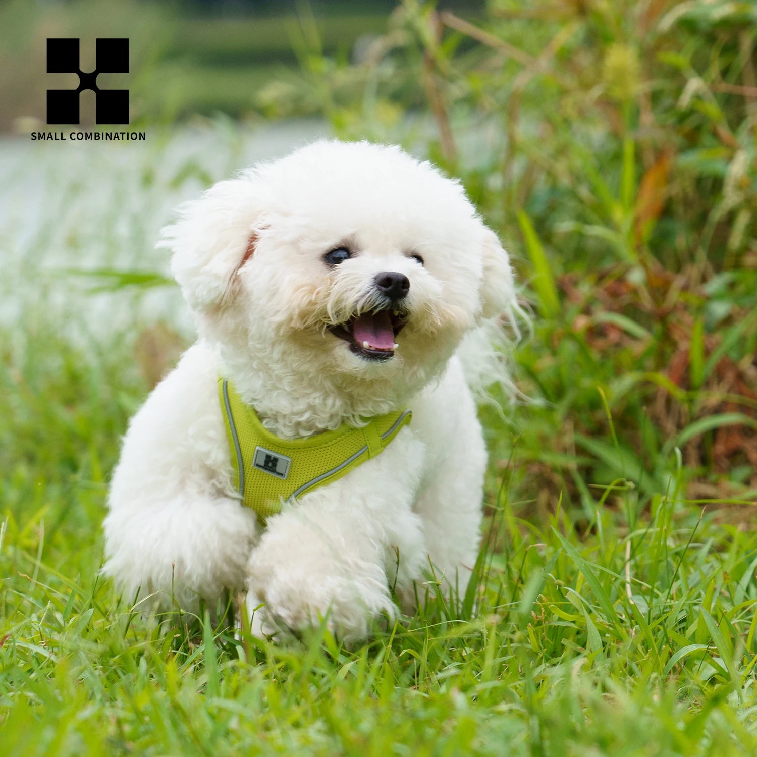 Harnais réfléchissant réglable pour chien