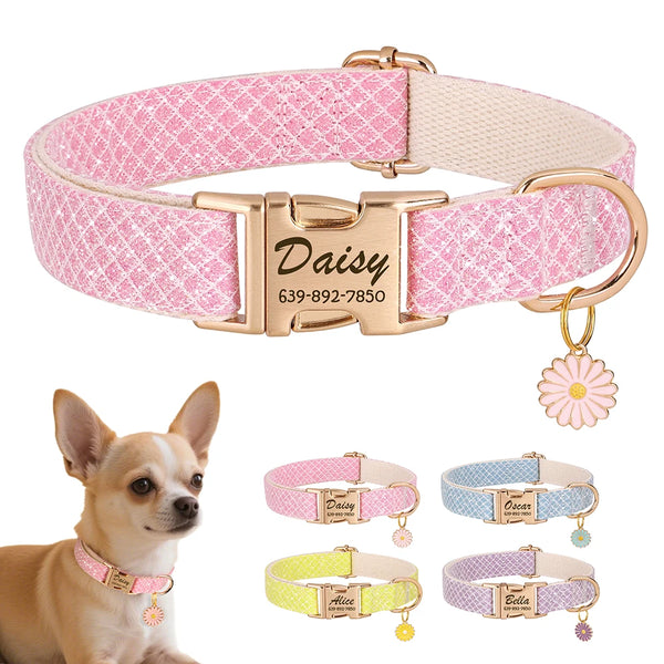 Collier de chien Bling personnalisé