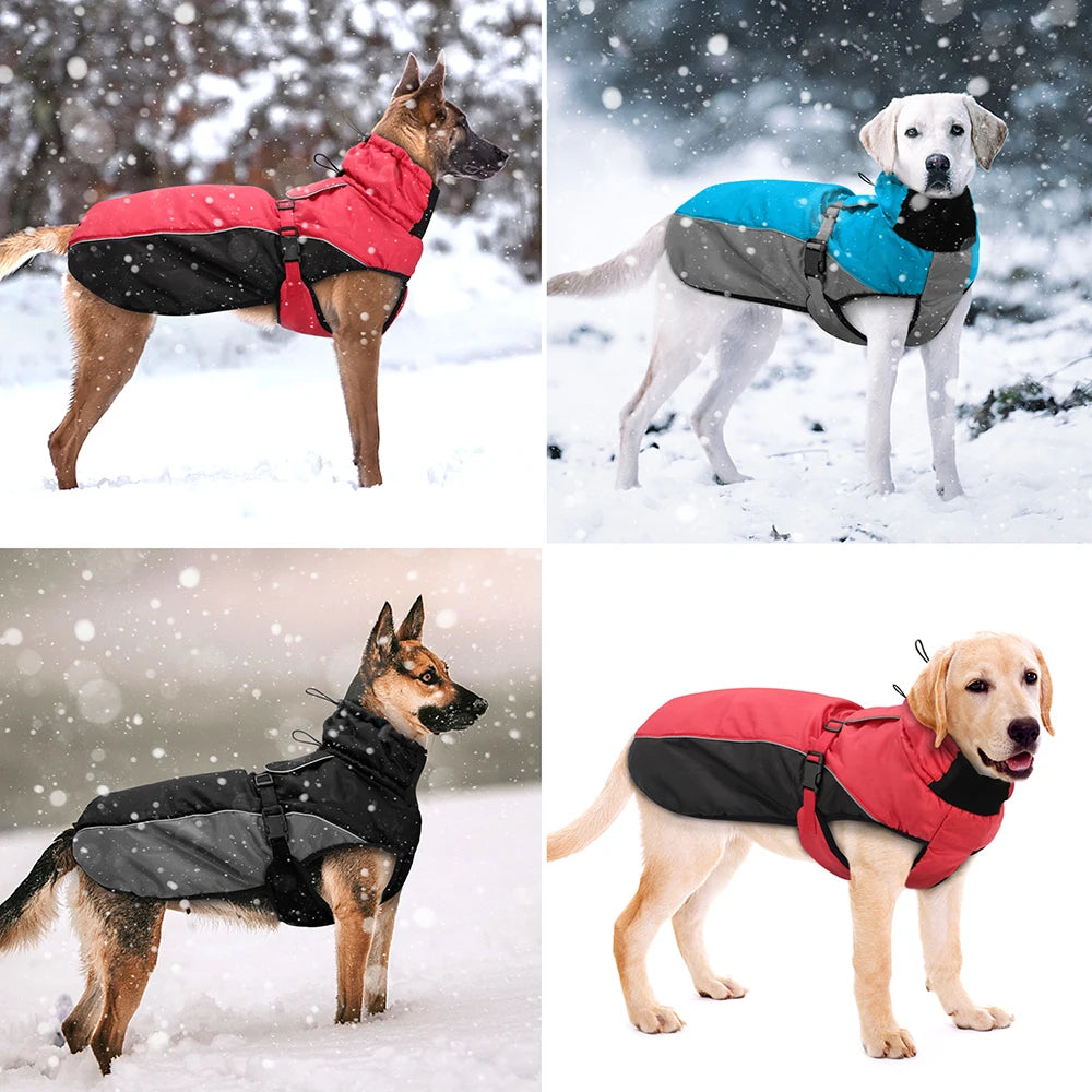 Veste imperméable réfléchissante pour chien