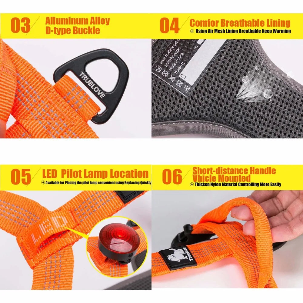 Harnais réfléchissant Truelove pour chien