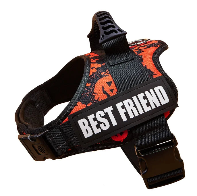 Collier et harnais pour chien