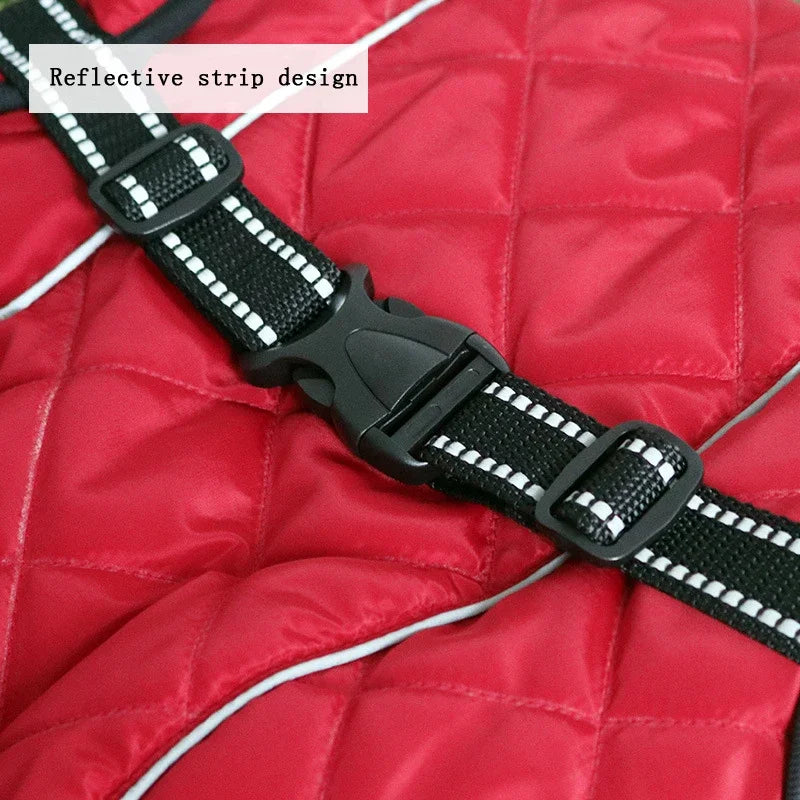 Veste d'extérieur pour chien