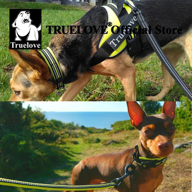 Truelove Pet Dog Collar