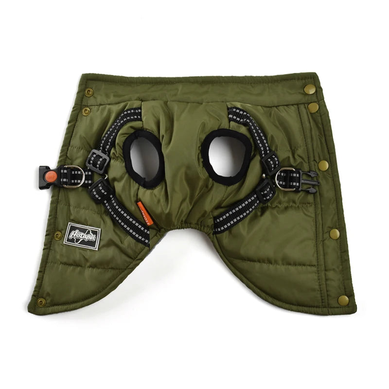 Veste coupe-vent pour chien