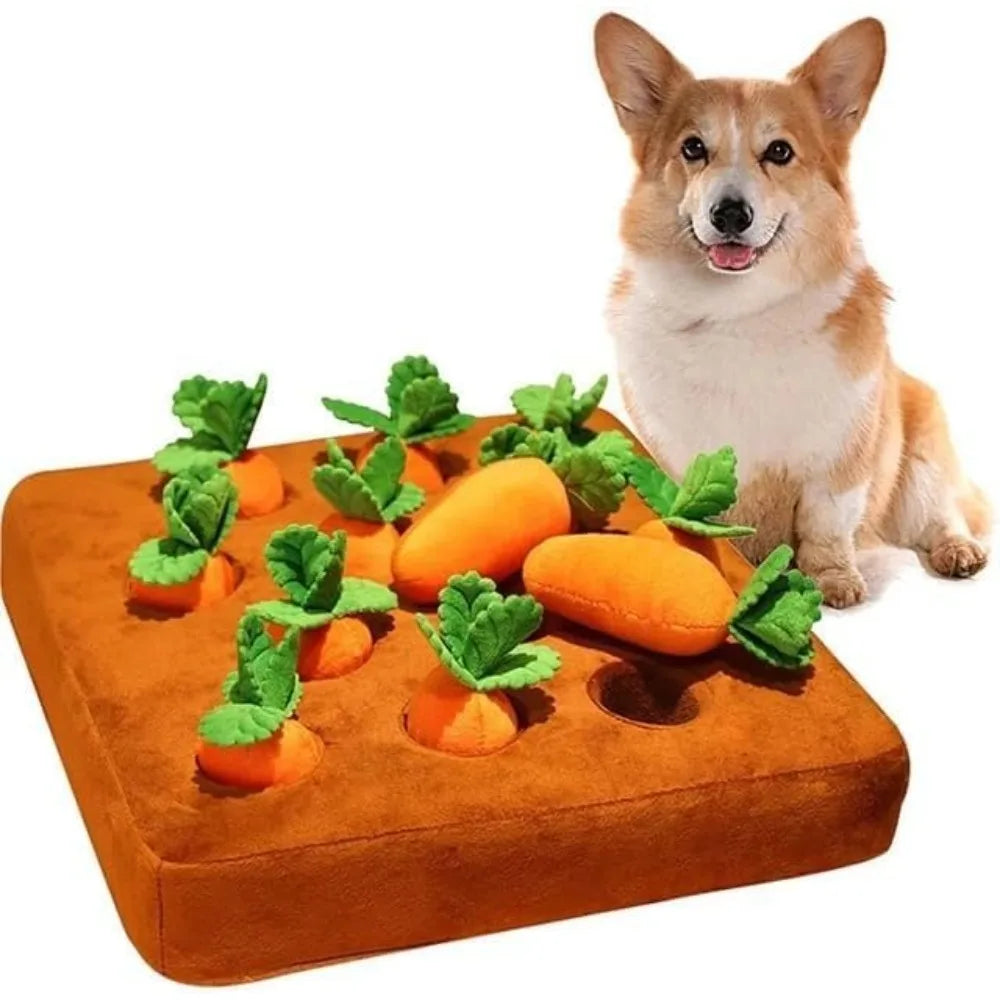 Carrot   Dogs Chew Toys