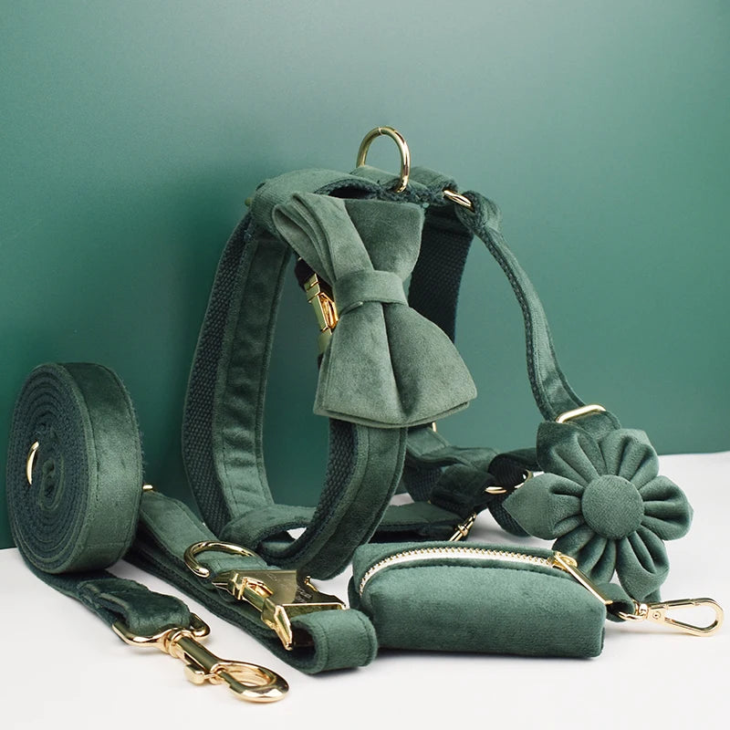 Personalized Velvet Dog Collar