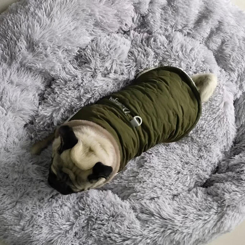 Manteau d'hiver imperméable pour chien
