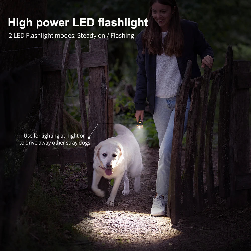 Dispositif de dressage pour contrôler les aboiements du chien