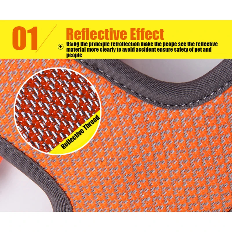 Harnais réfléchissant Truelove pour chien