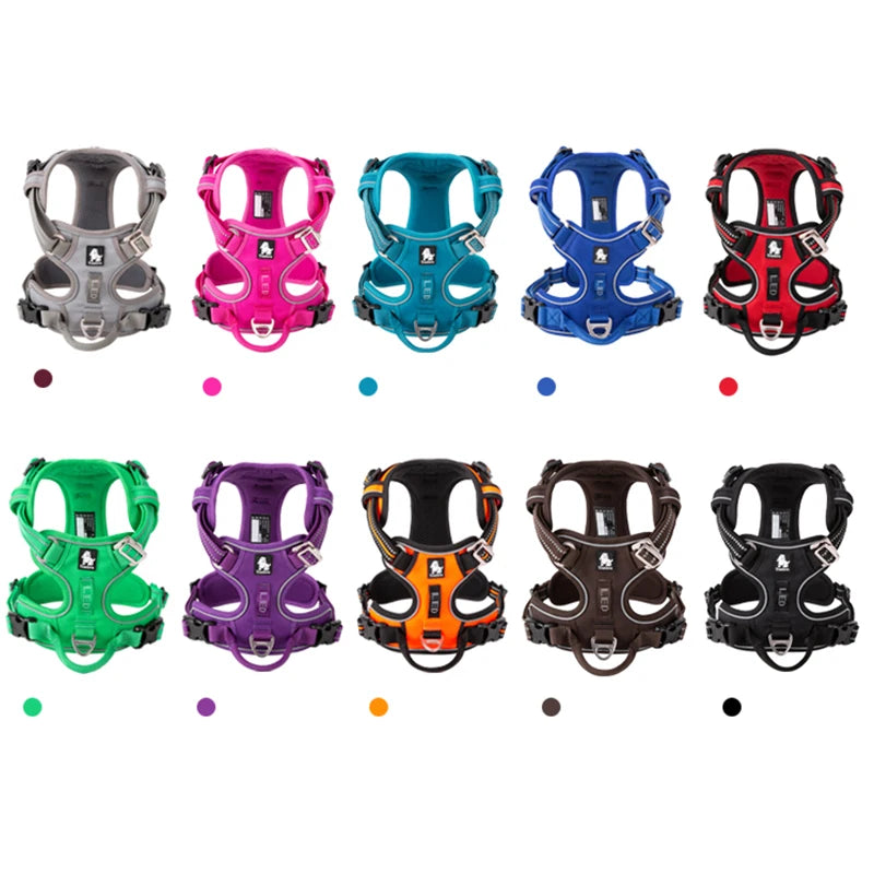 Harnais pour chien rembourré en nylon