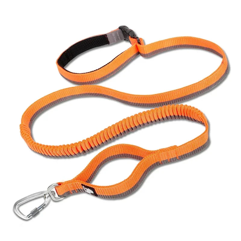 Pet Running Bungee Leash