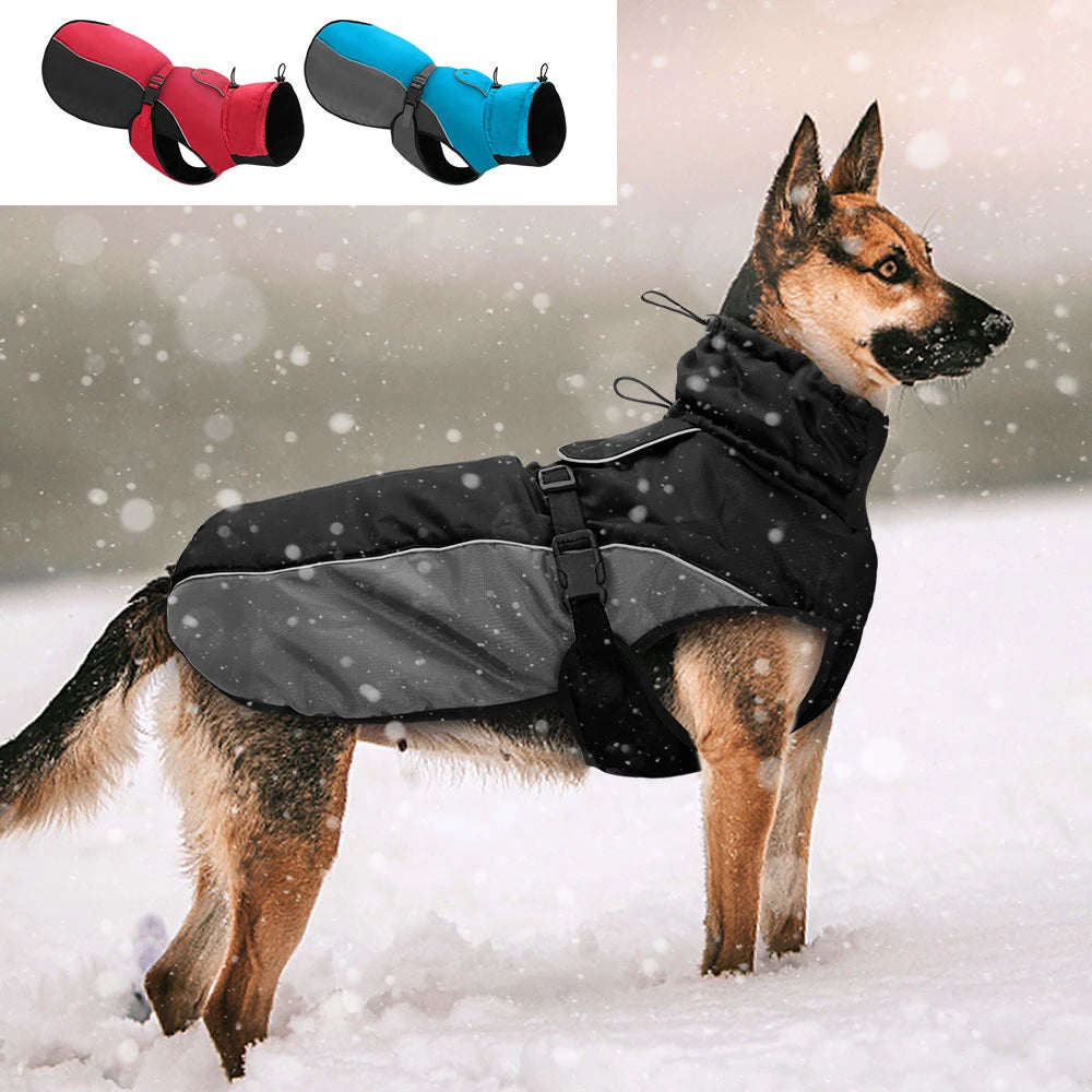 Veste imperméable réfléchissante pour chien