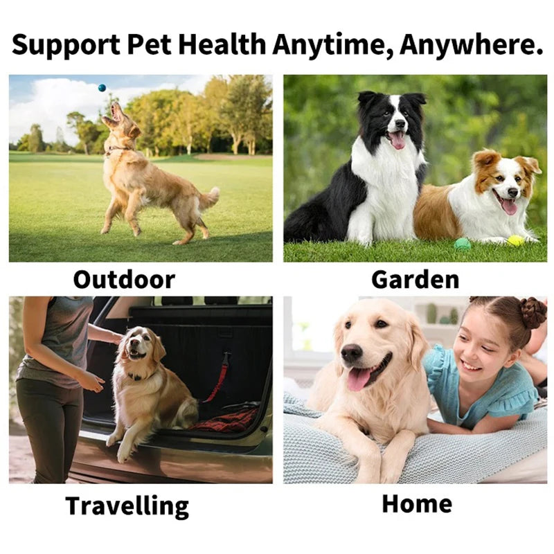 Brosse à dents chien doigt – Nettoyage dentaire PawFrance