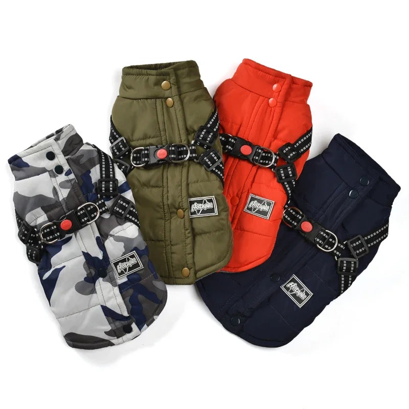 Veste coupe-vent pour chien