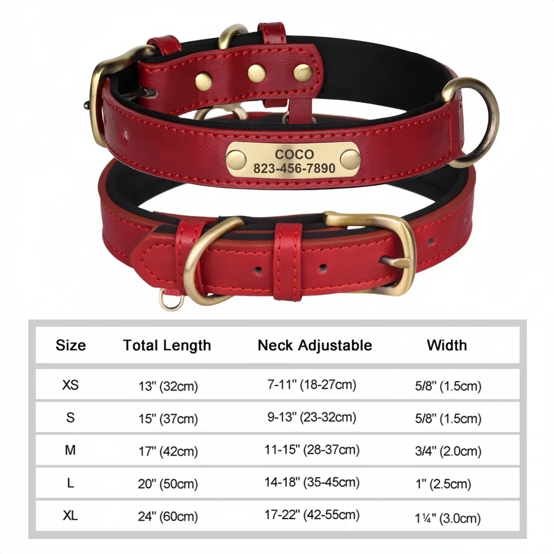 Personalized  Custom Dog Collar