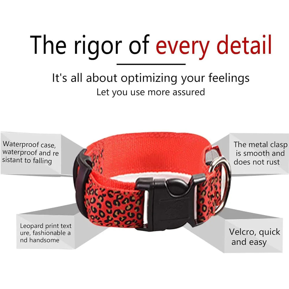 Collier anti-perte pour chien en nylon