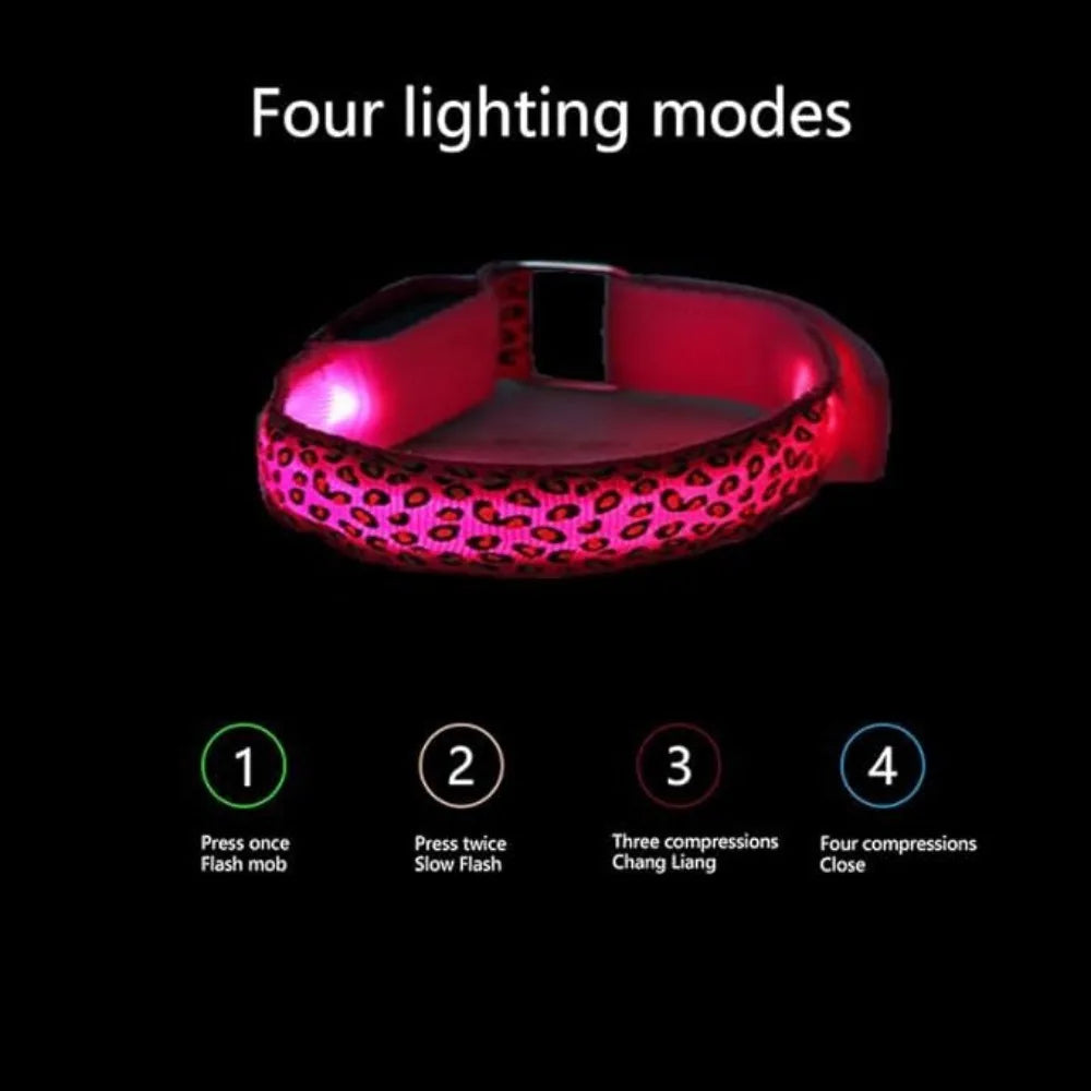 Collier anti-perte pour chien en nylon