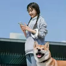 Roulette de ruban LED avec laisse pour chien 3M