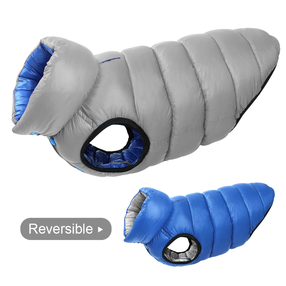 Veste d'hiver douce pour chien