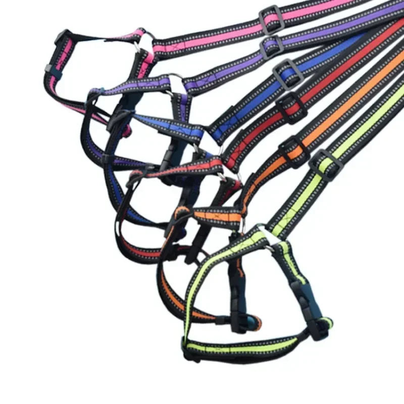 Harnais pour chien réglable de couleur unie