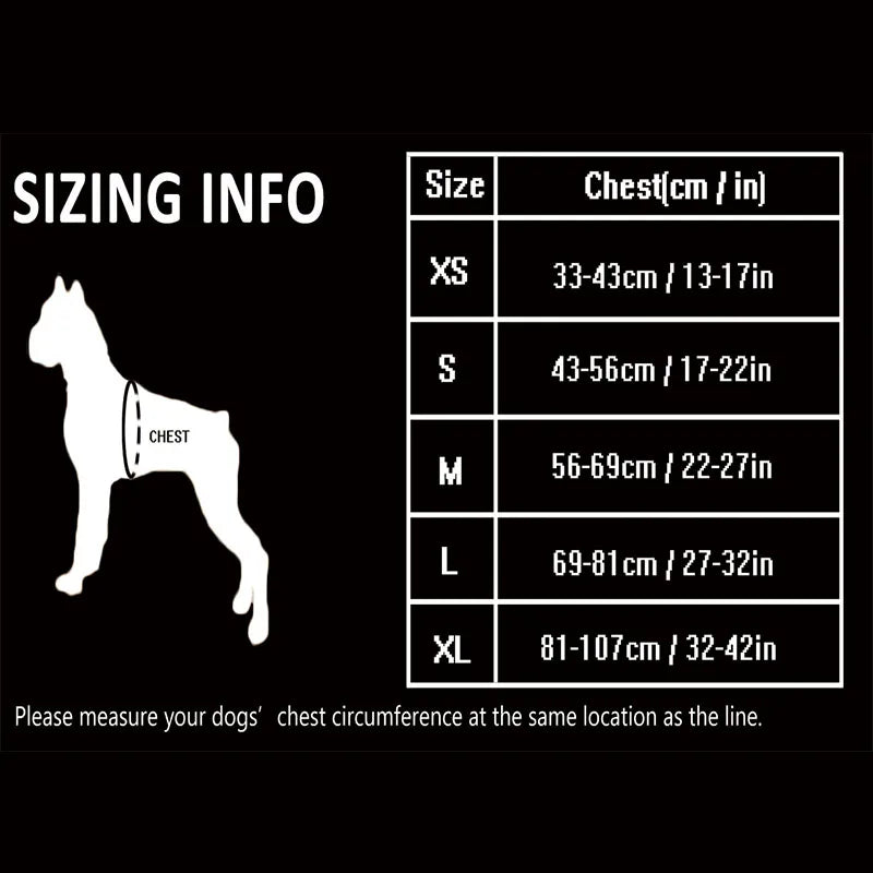 Harnais pour chien rembourré en nylon