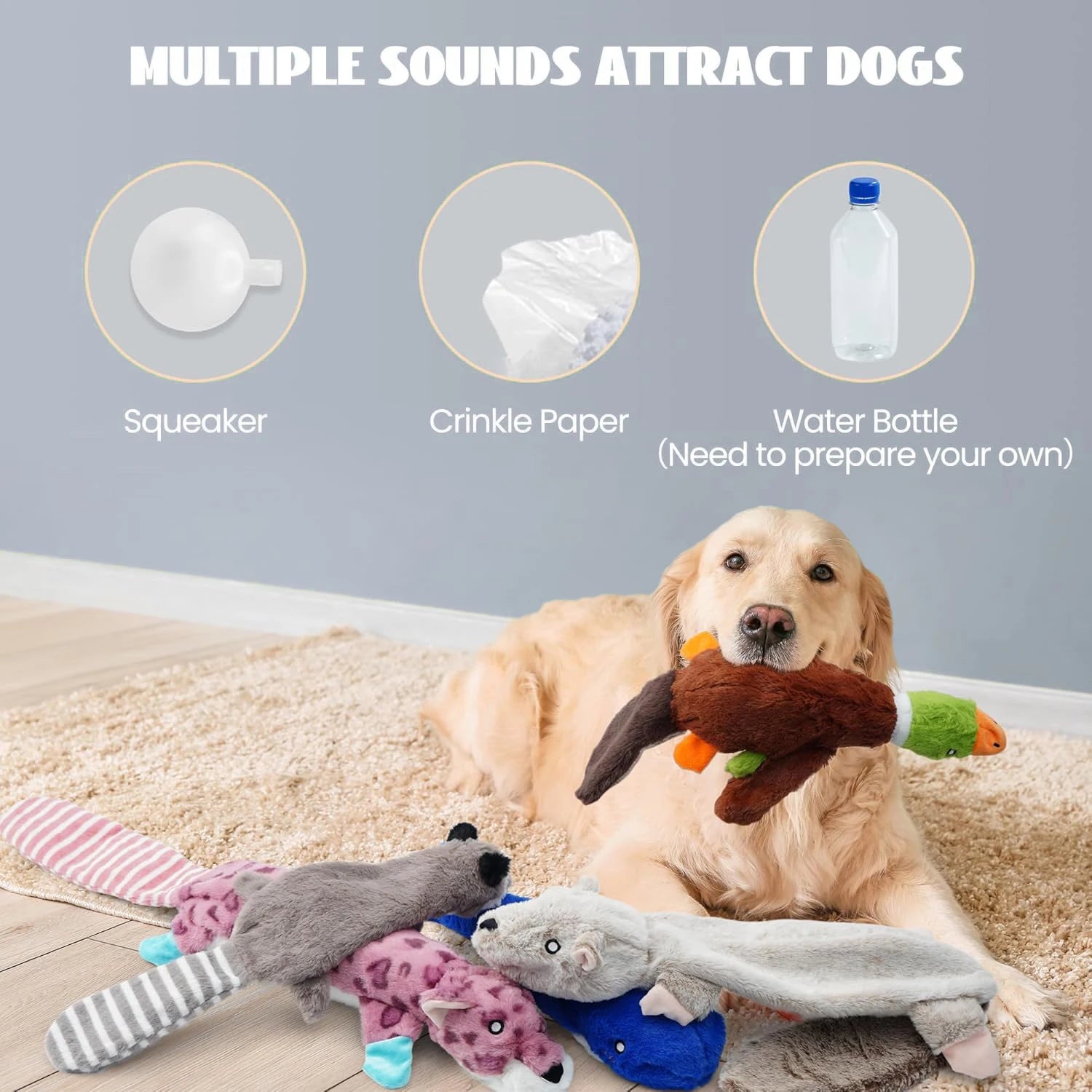 Dog Squeaky Toys