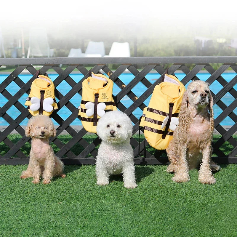 Maillot de bain pour petit chien abeille