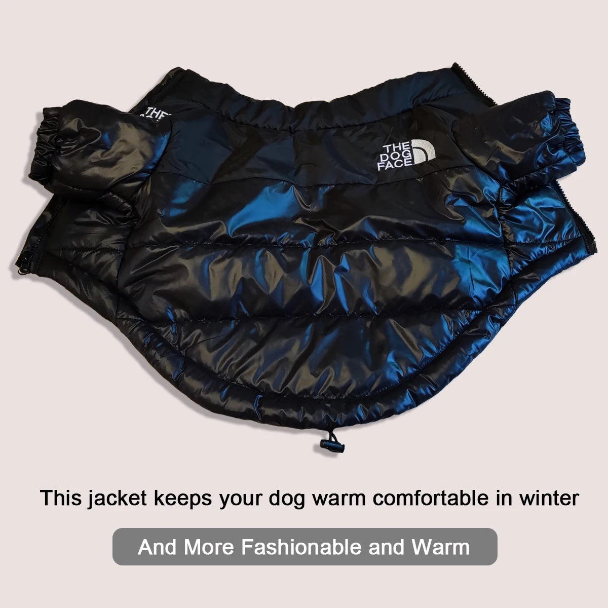 Veste réfléchissante d'hiver pour chien