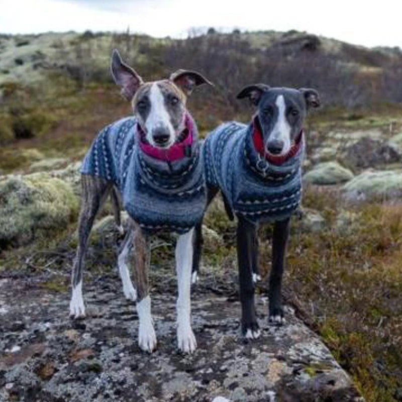 Gilet Whippet à col roulé