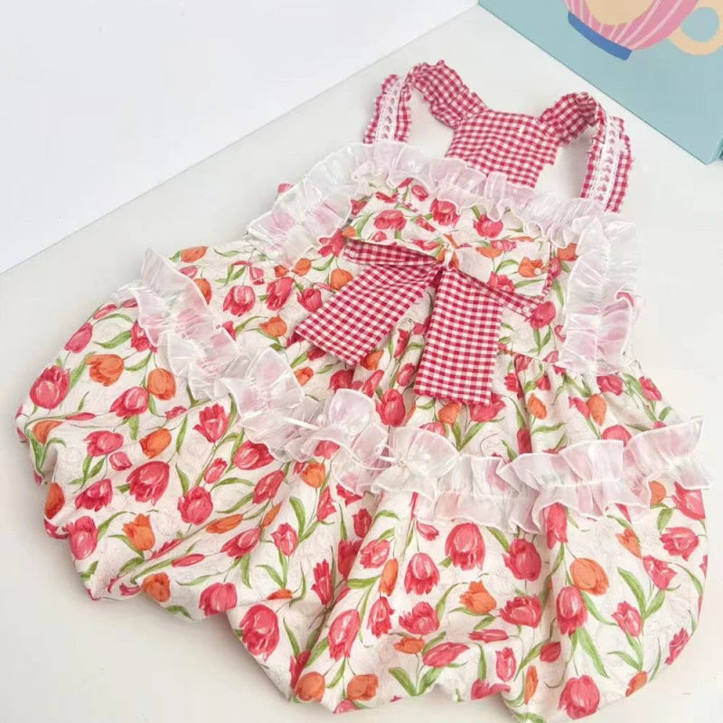 Robe d'été pour grand chien