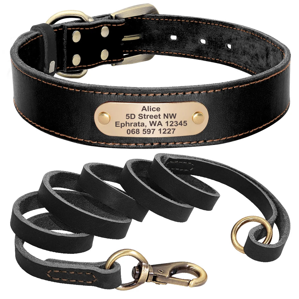 Custom Leather Dog Collar Leash